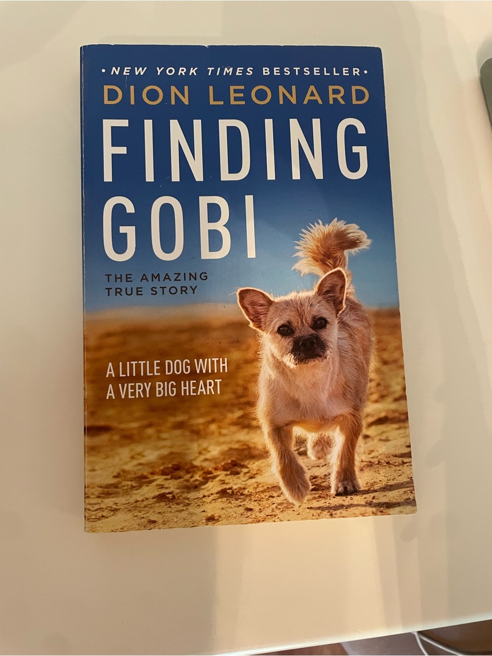 Finding Gobi